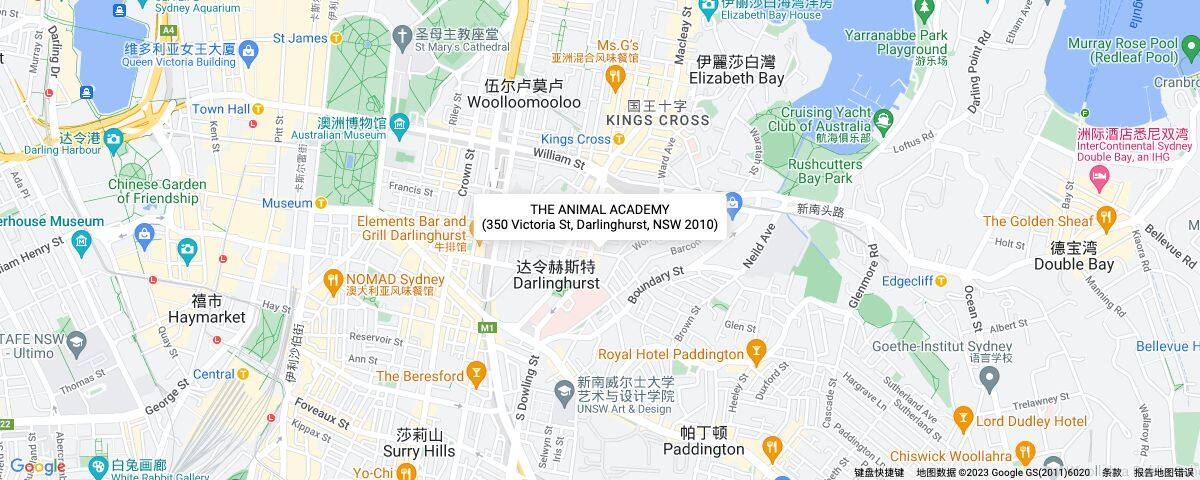 查看地图详情
