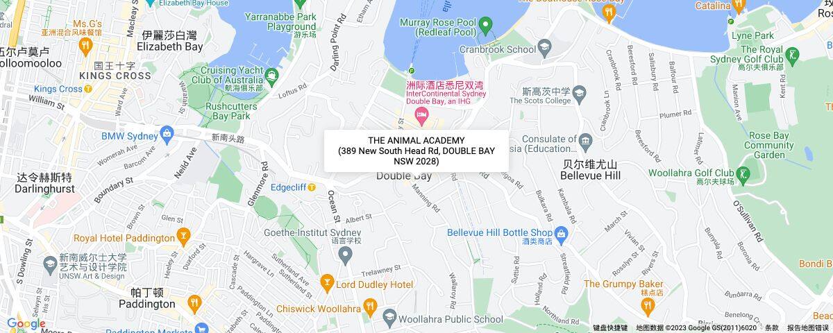 查看地图详情