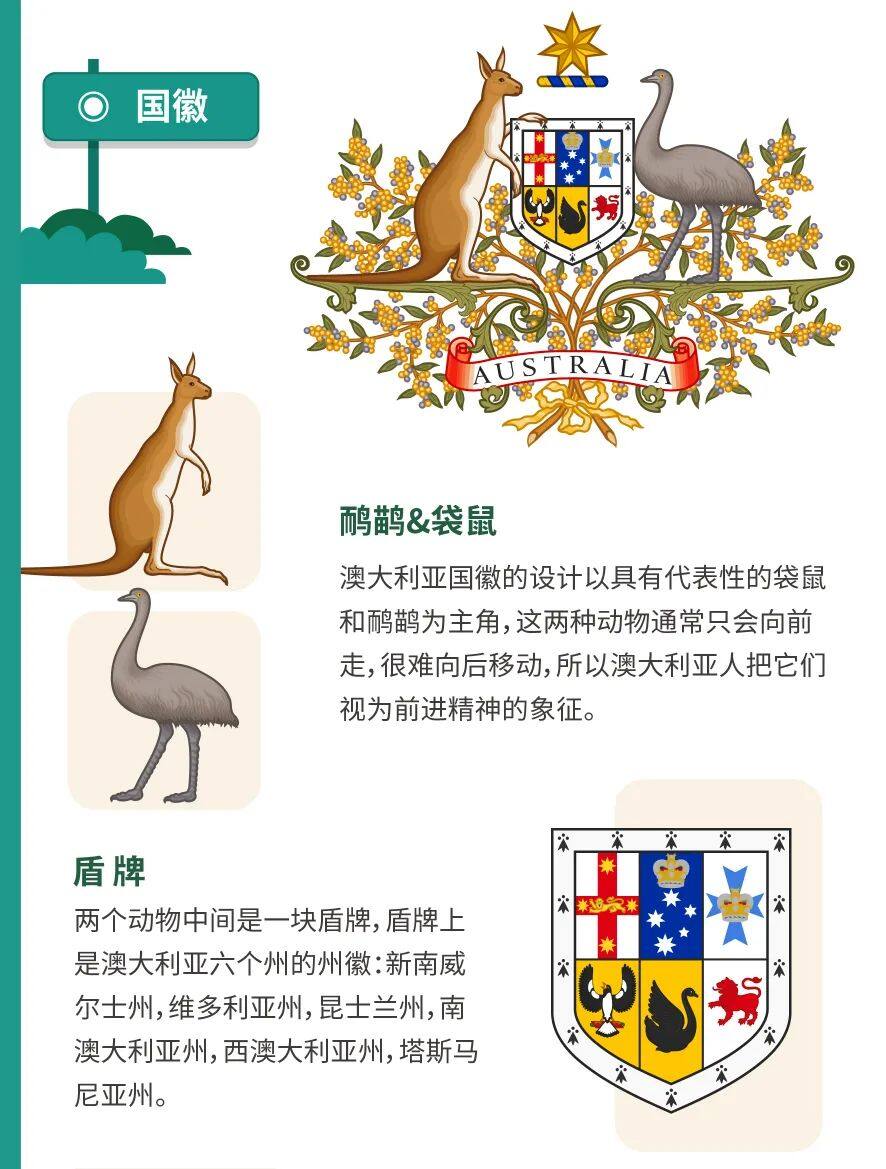 悉尼大学 鸸鹋 金合欢 南十字星 解读你没听过的澳式符号 万友教育