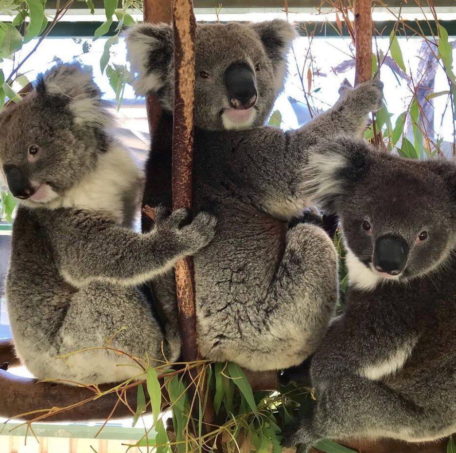 留学生必看的7大绝佳澳洲景致- One U Education, image size:936x930