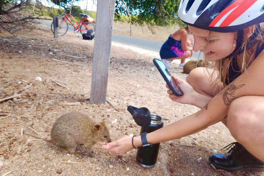 一位戴着自行车头盔的年轻女子给短尾矮袋鼠提供一些食物